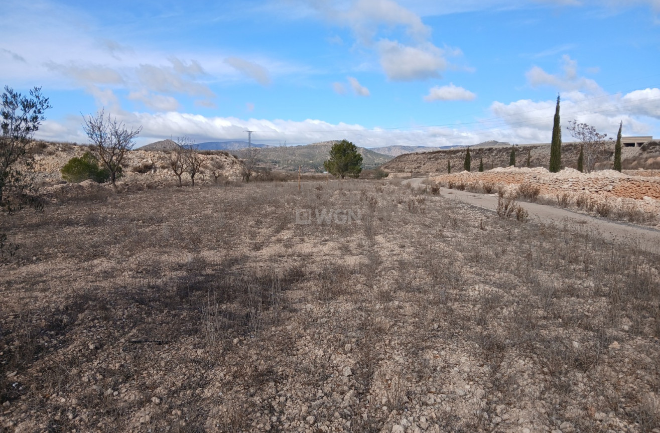 Wiederverkauf - Property - Monóvar/Monóver - Inland