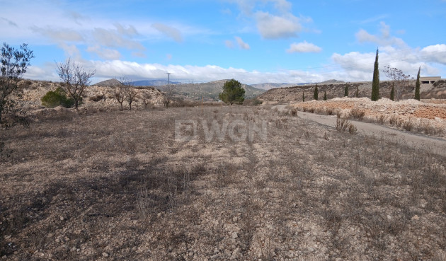 Wiederverkauf - Property - Monóvar/Monóver - Inland