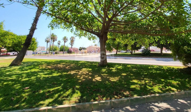 Wiederverkauf - Wohnung - Torrevieja - Playa de los Locos