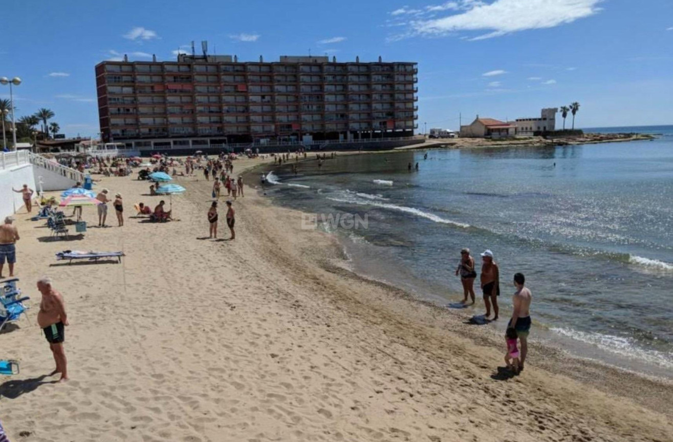 Wiederverkauf - Wohnung - Torrevieja - Playa de los Locos