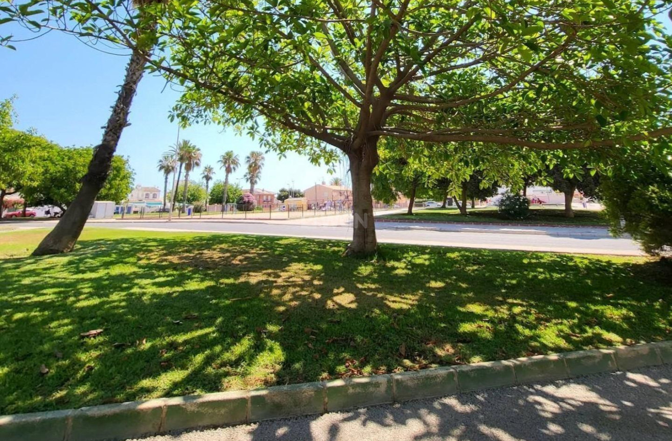 Wiederverkauf - Wohnung - Torrevieja - Playa de los Locos