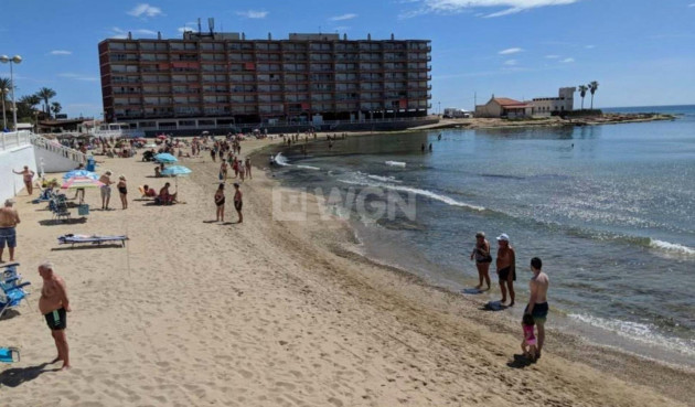 Wiederverkauf - Wohnung - Torrevieja - Playa de los Locos