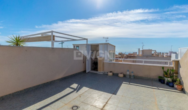 Wiederverkauf - Penthouse - Torrevieja - Costa Blanca
