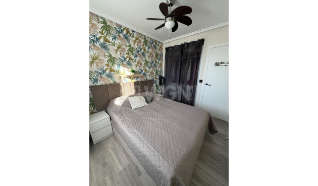 Wiederverkauf - Bungalow - Torrevieja - Costa Blanca