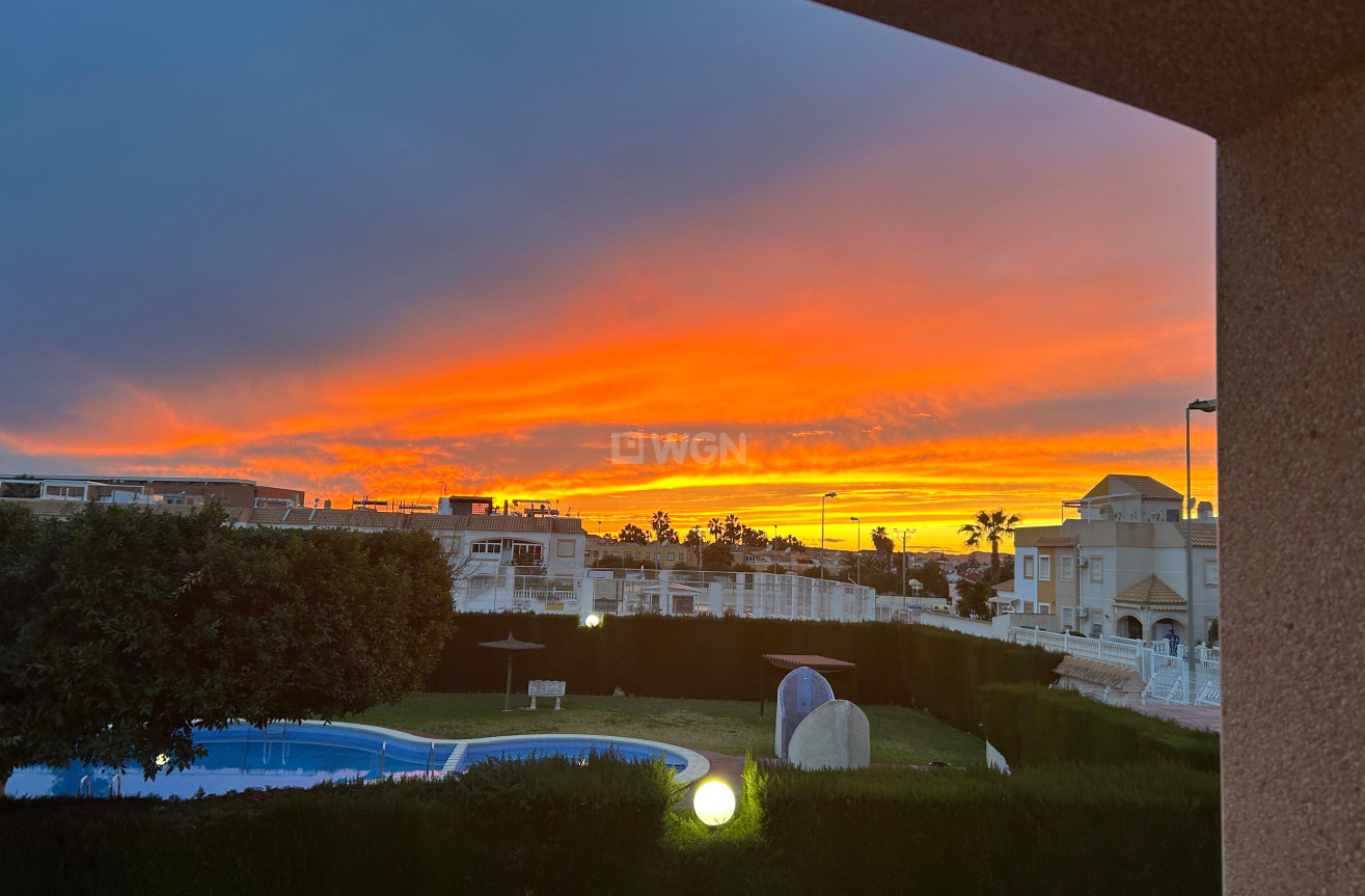 Wiederverkauf - Bungalow - Torrevieja - Costa Blanca