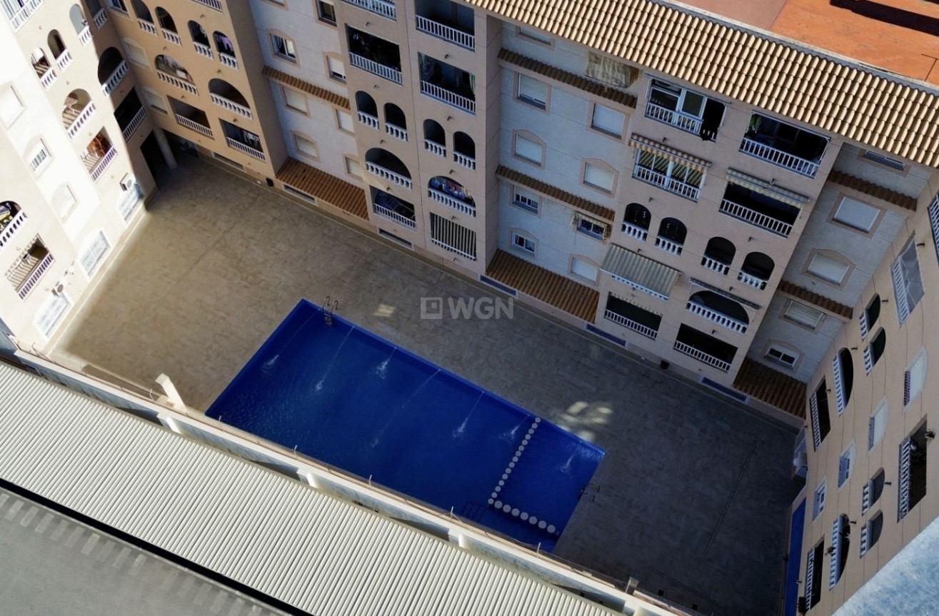 Wiederverkauf - Wohnung - Torrevieja - Costa Blanca
