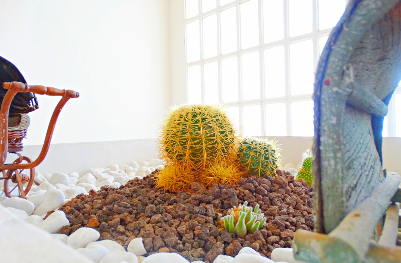 Wiederverkauf - Villa - Cabo Roig - Costa Blanca