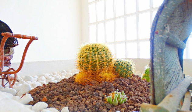 Wiederverkauf - Villa - Cabo Roig - Costa Blanca