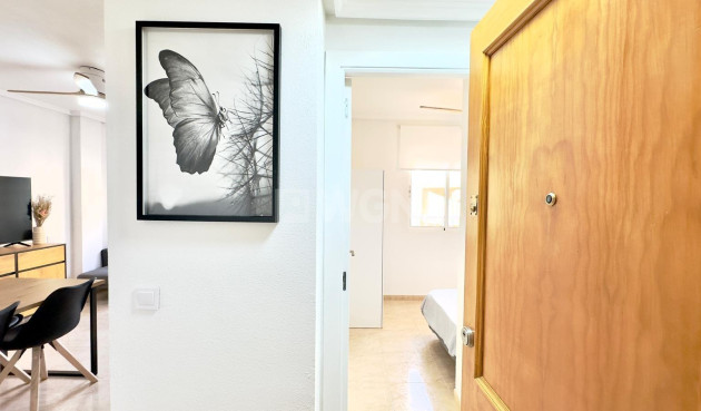 Wiederverkauf - Wohnung - Torrevieja - Centro