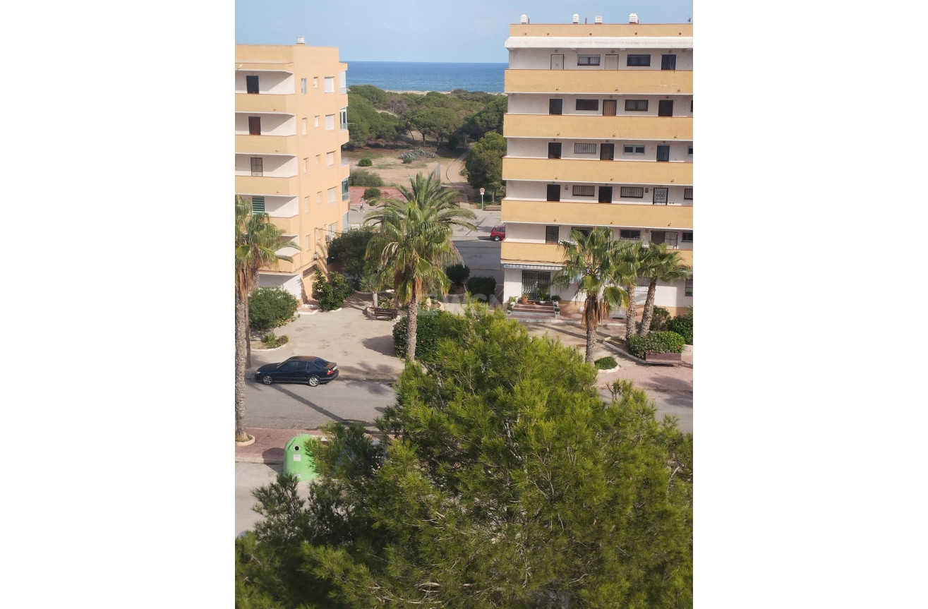 Odsprzedaż - Mieszkanie w bloku - Guardamar del Segura - Pinomar