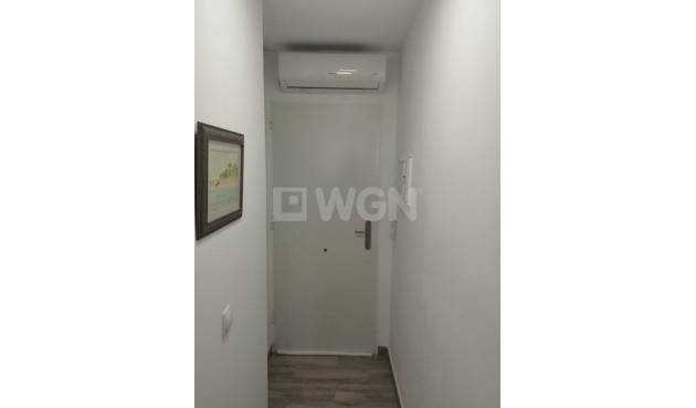 Odsprzedaż - Mieszkanie w bloku - Guardamar del Segura - Pinomar