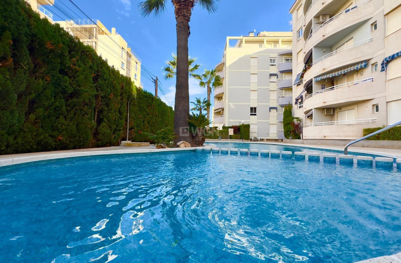 Wiederverkauf - Wohnung - Torrevieja - Playa del Cura