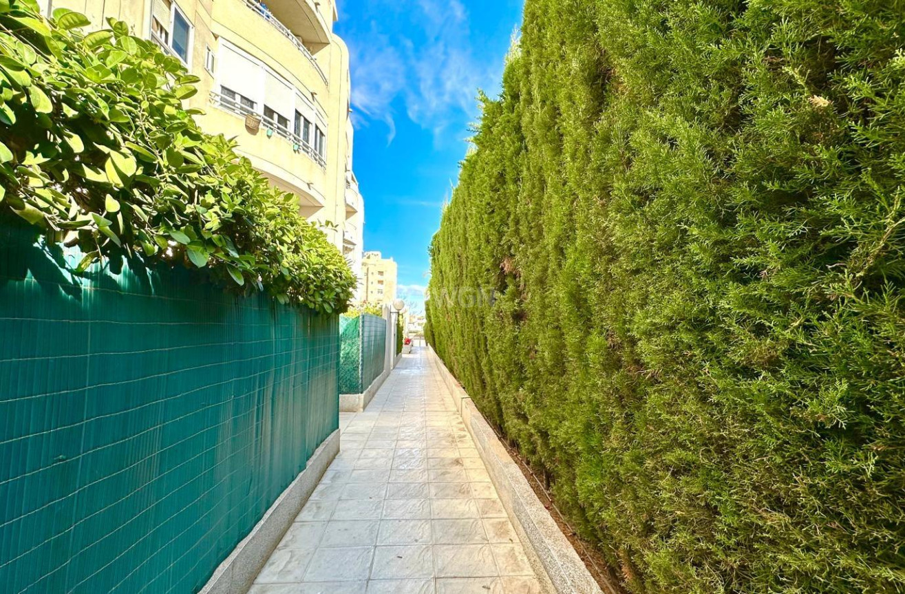 Wiederverkauf - Wohnung - Torrevieja - Playa del Cura