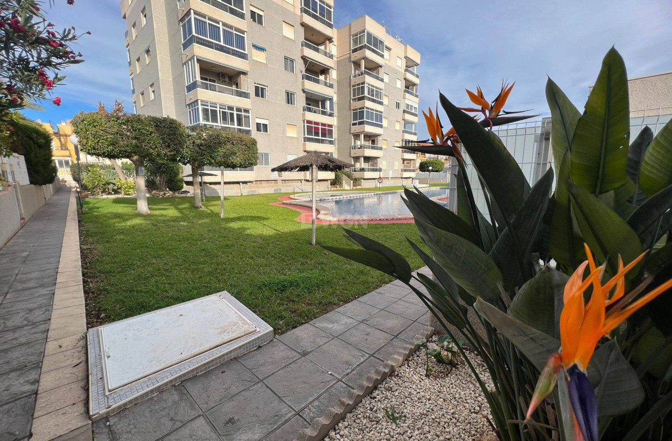 Reventa - Apartamento / piso - Torrevieja - aguas nuevas