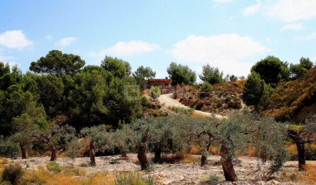 Wiederverkauf - Villa - Murcia - Inland