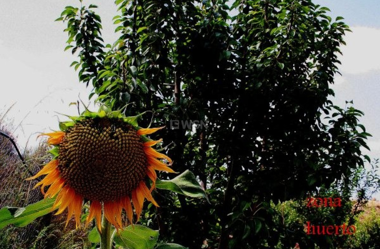 Wiederverkauf - Villa - Murcia - Inland