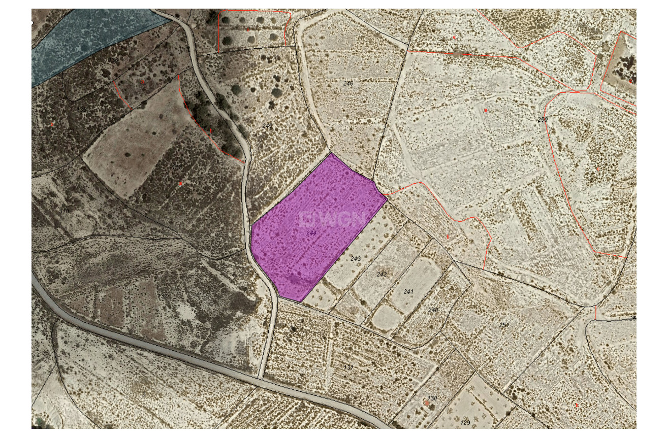 Resale - Plot / Land - Abanilla - Inland