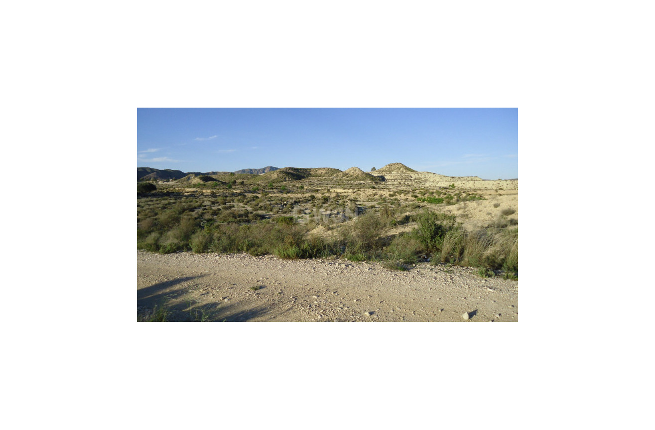 Resale - Plot / Land - Abanilla - Inland