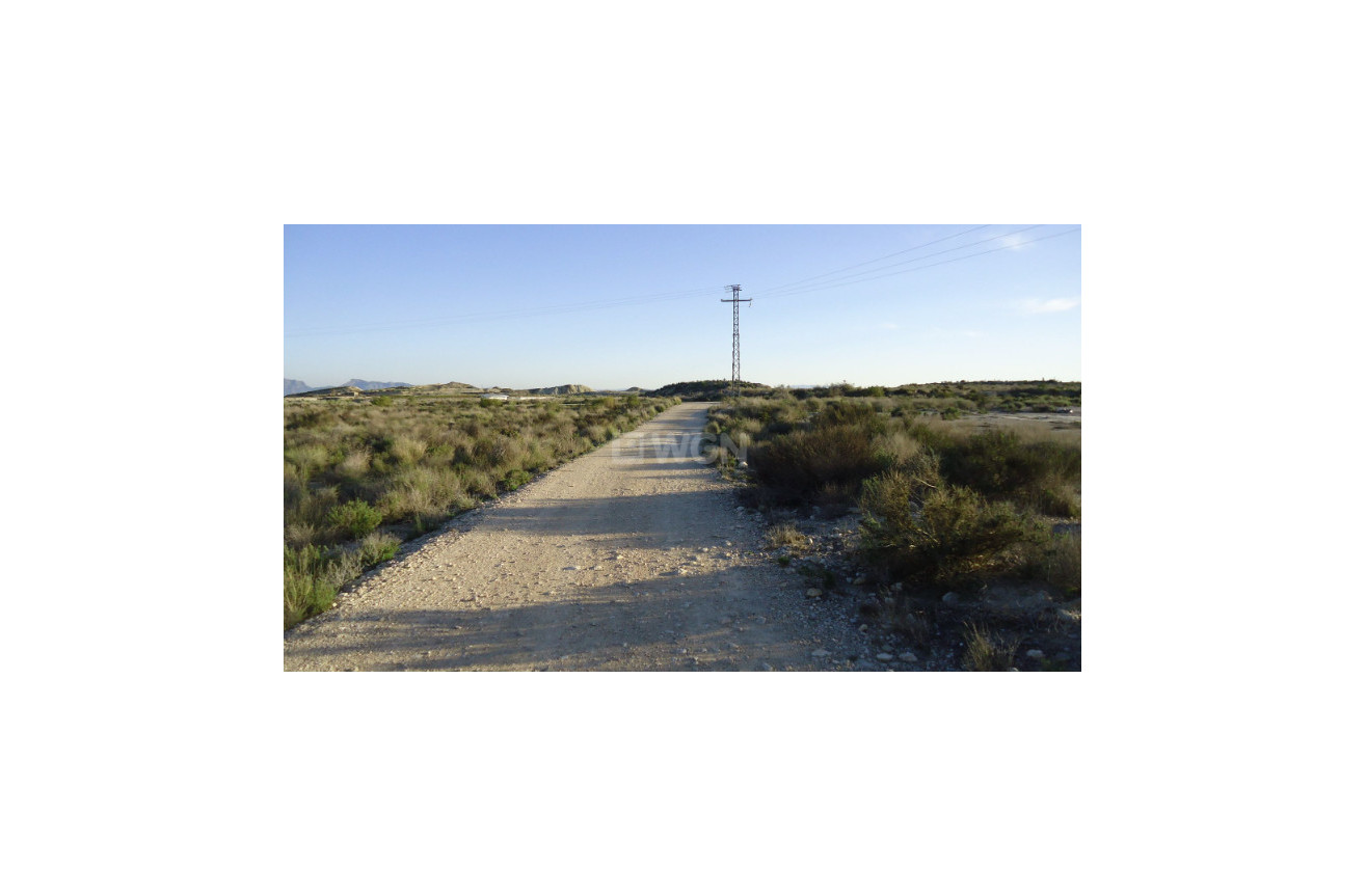 Resale - Plot / Land - Abanilla - Inland