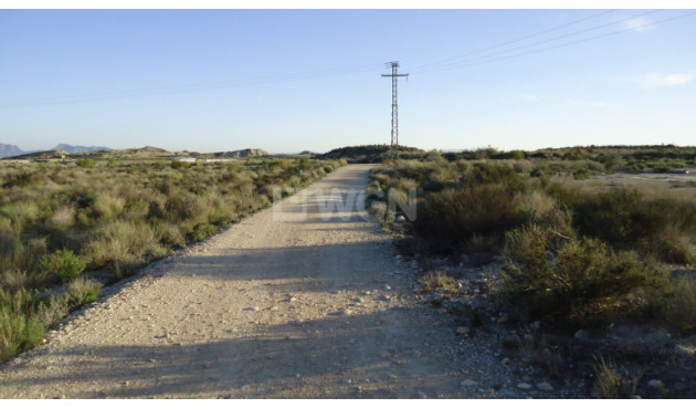 Resale - Plot / Land - Abanilla - Inland