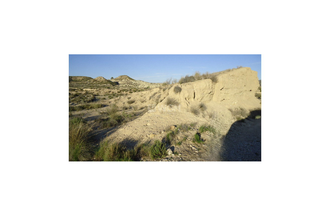 Resale - Plot / Land - Abanilla - Inland