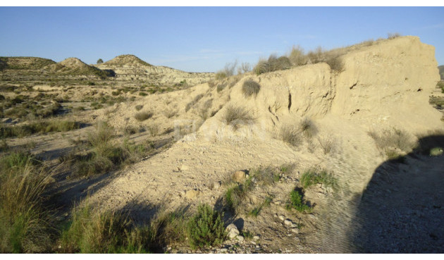 Resale - Plot / Land - Abanilla - Inland