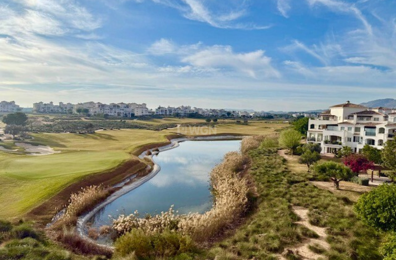 Resale - Apartment / flat - Hacienda Riquelme Golf Resort - Inland