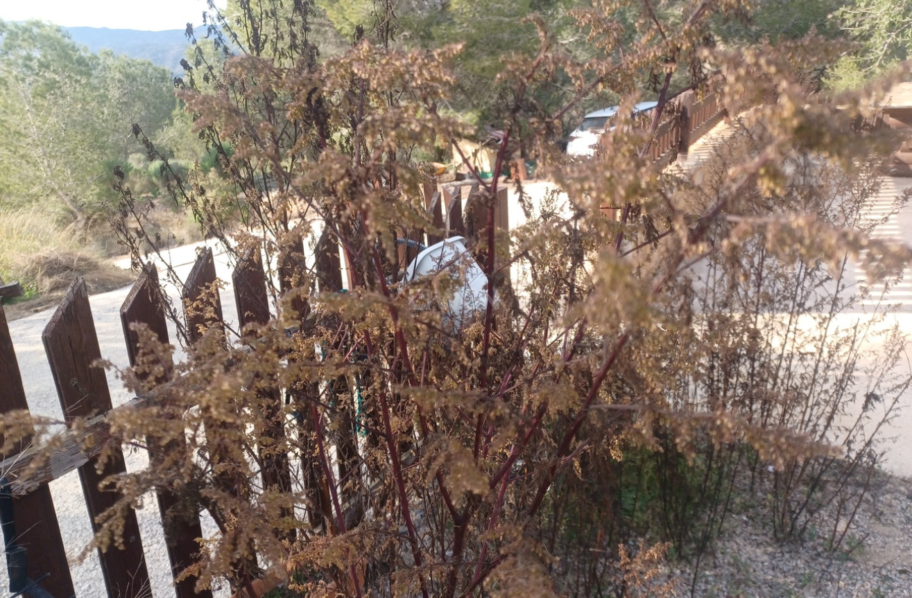 Wiederverkauf - Villa - Gea Y Truyols - Inland