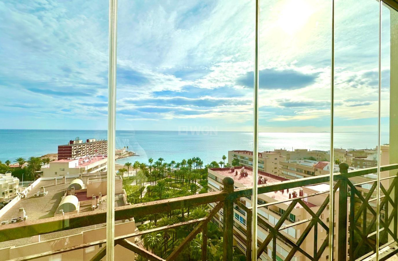 Wiederverkauf - Wohnung - Torrevieja - Los Frutales