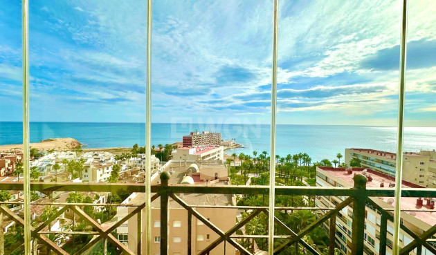 Wiederverkauf - Wohnung - Torrevieja - Los Frutales