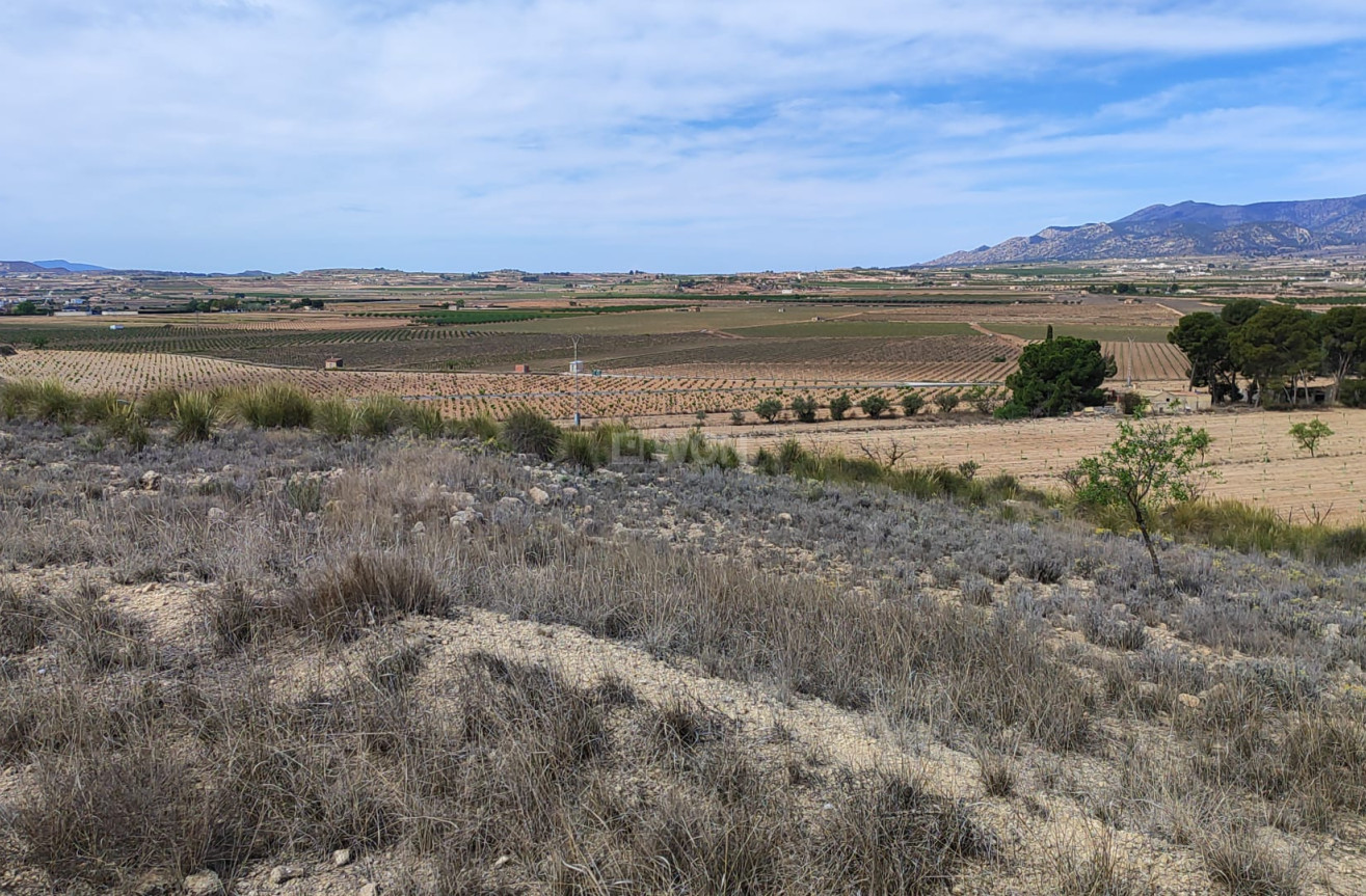 Reventa - Parcela / Terreno - Pinoso - Inland