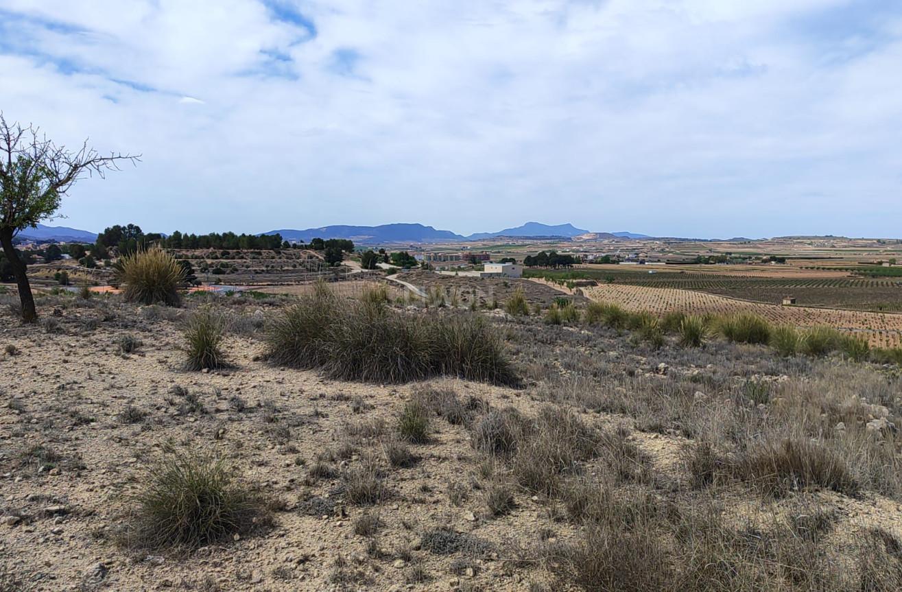 Reventa - Parcela / Terreno - Pinoso - Inland