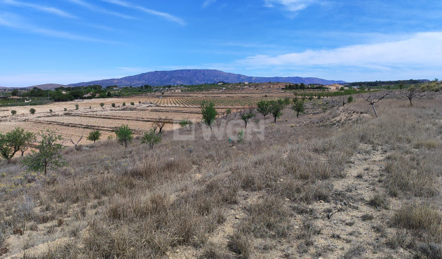 Reventa - Parcela / Terreno - Pinoso - Inland