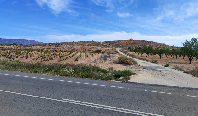 Reventa - Parcela / Terreno - Pinoso - Inland
