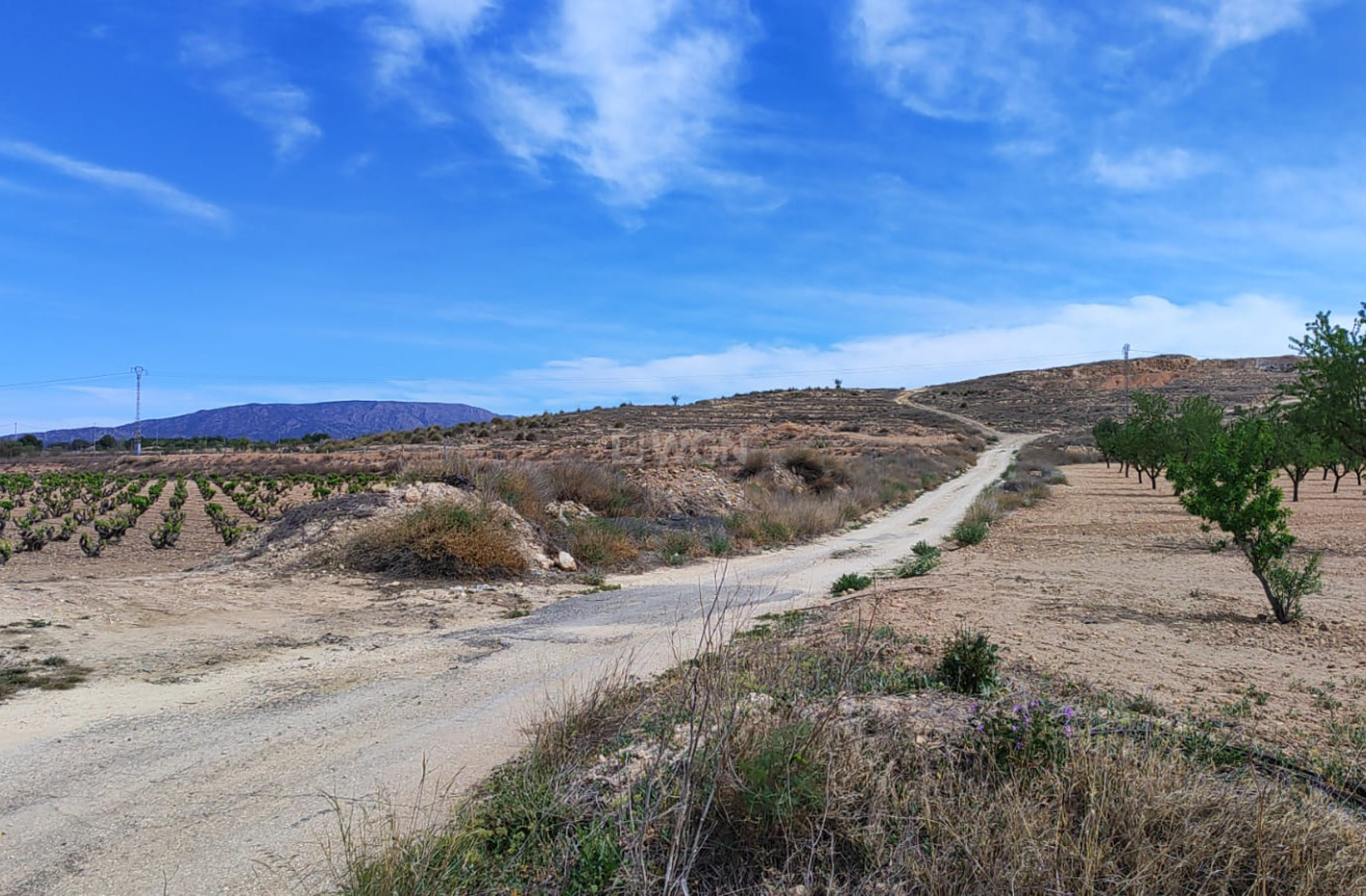 Reventa - Parcela / Terreno - Pinoso - Inland