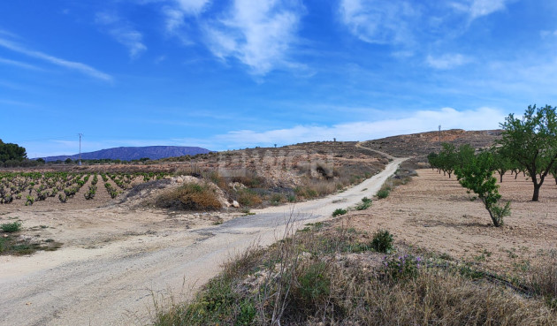 Reventa - Parcela / Terreno - Pinoso - Inland