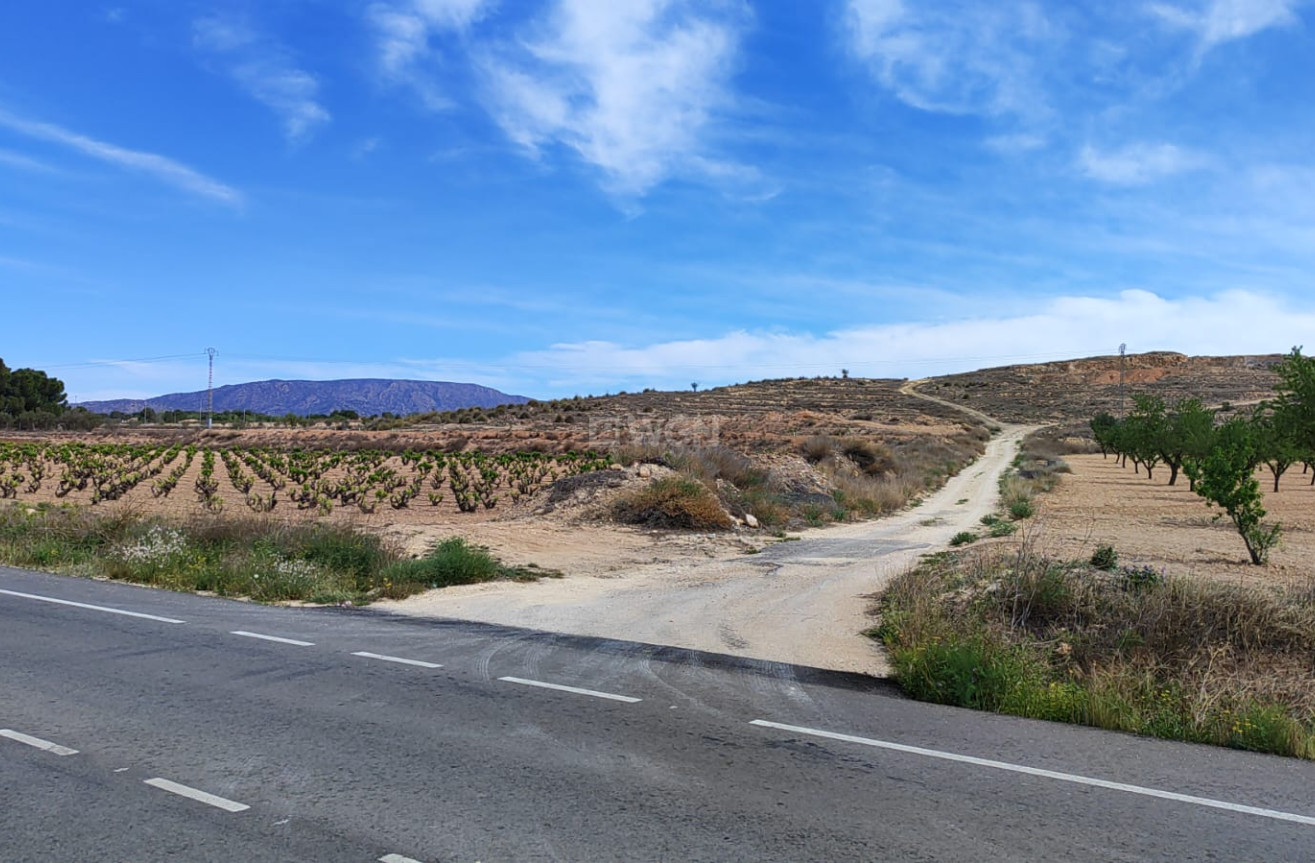 Reventa - Parcela / Terreno - Pinoso - Inland