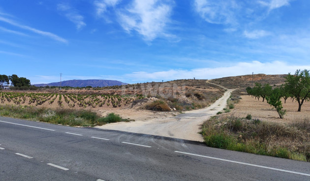 Reventa - Parcela / Terreno - Pinoso - Inland