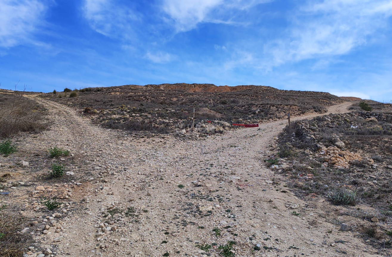 Reventa - Parcela / Terreno - Pinoso - Inland