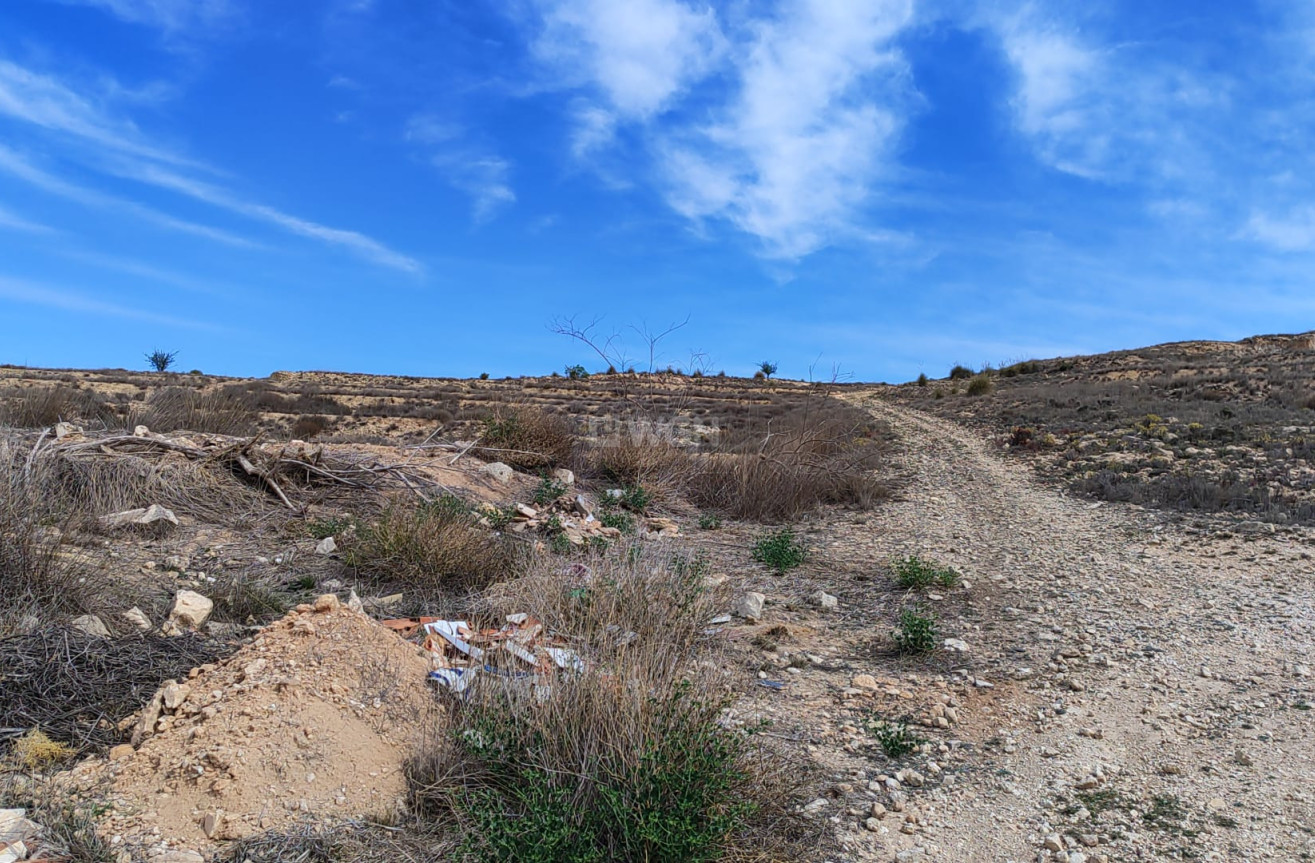 Reventa - Parcela / Terreno - Pinoso - Inland