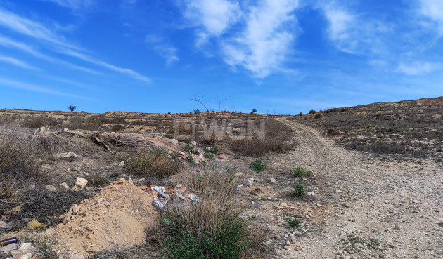 Reventa - Parcela / Terreno - Pinoso - Inland