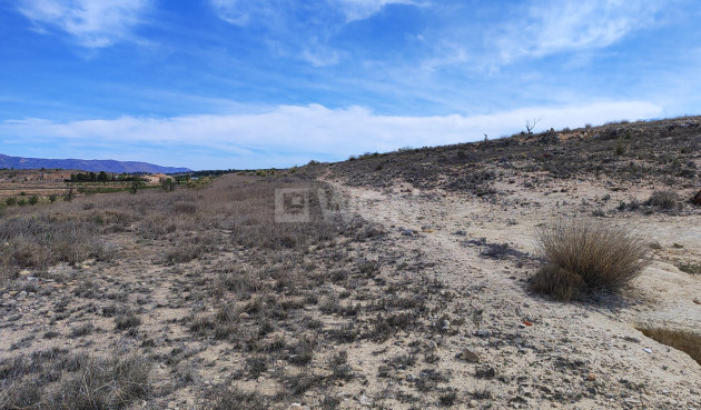 Reventa - Parcela / Terreno - Pinoso - Inland
