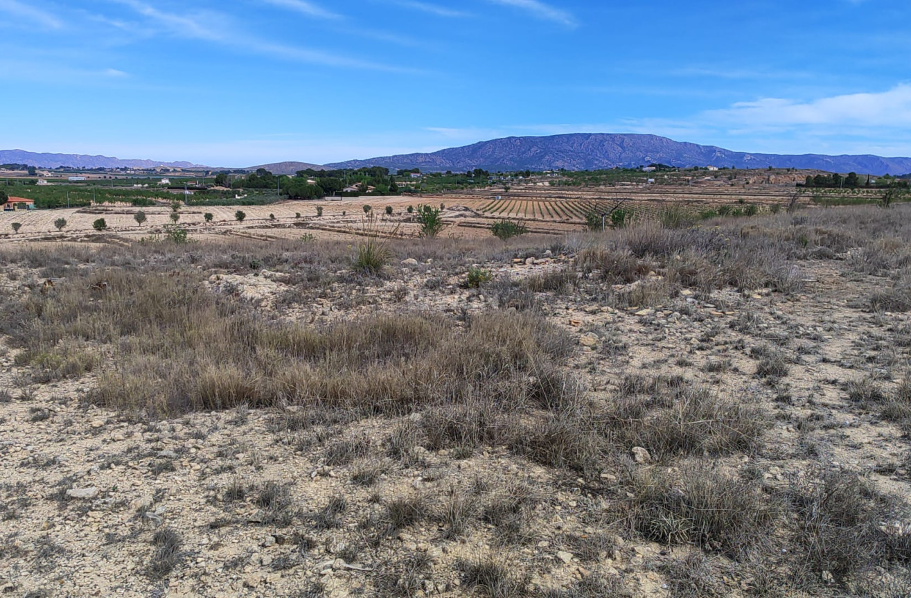 Reventa - Parcela / Terreno - Pinoso - Inland