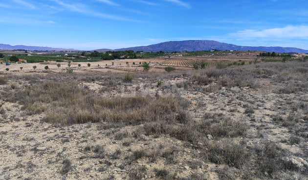 Reventa - Parcela / Terreno - Pinoso - Inland