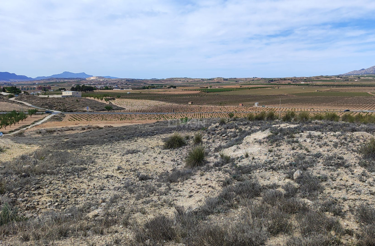 Reventa - Parcela / Terreno - Pinoso - Inland