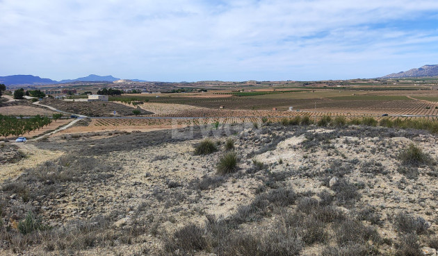 Reventa - Parcela / Terreno - Pinoso - Inland