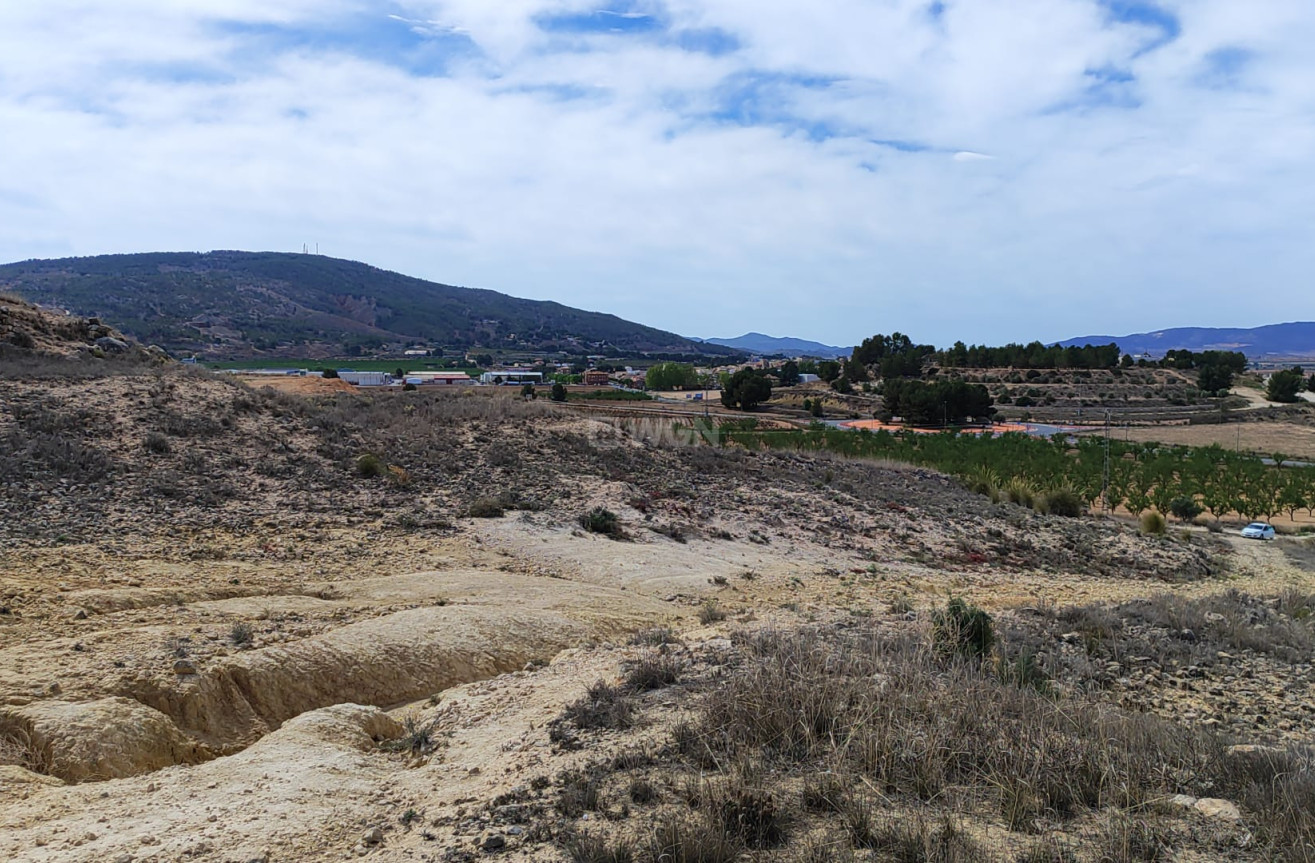 Reventa - Parcela / Terreno - Pinoso - Inland