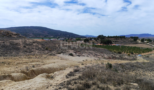 Reventa - Parcela / Terreno - Pinoso - Inland