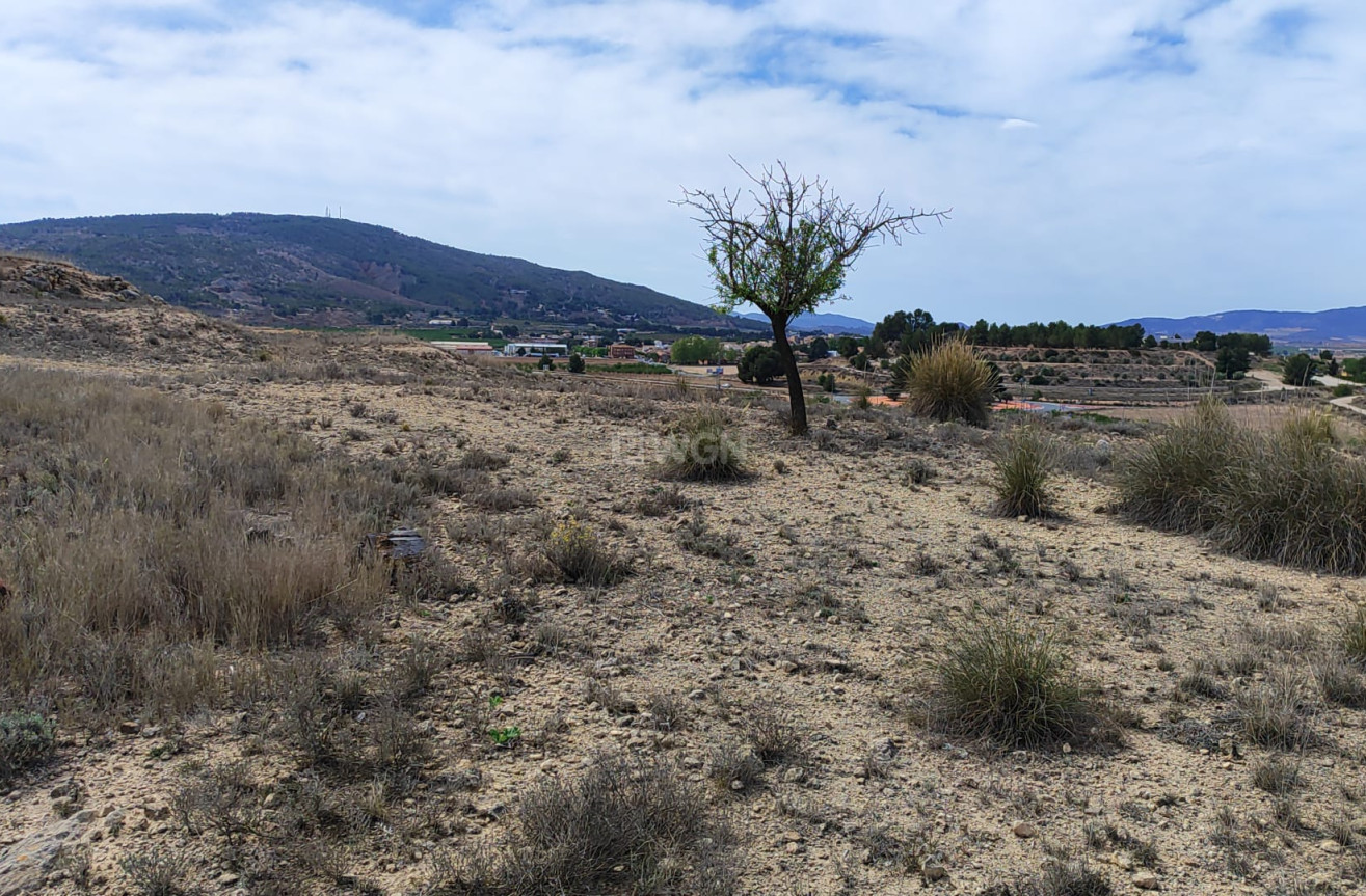 Reventa - Parcela / Terreno - Pinoso - Inland