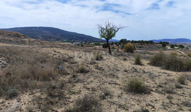 Reventa - Parcela / Terreno - Pinoso - Inland